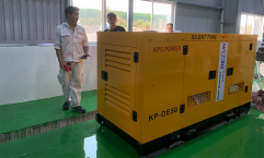 Dessun 50kVA cho Công Ty TNHH Vina Sapphire.